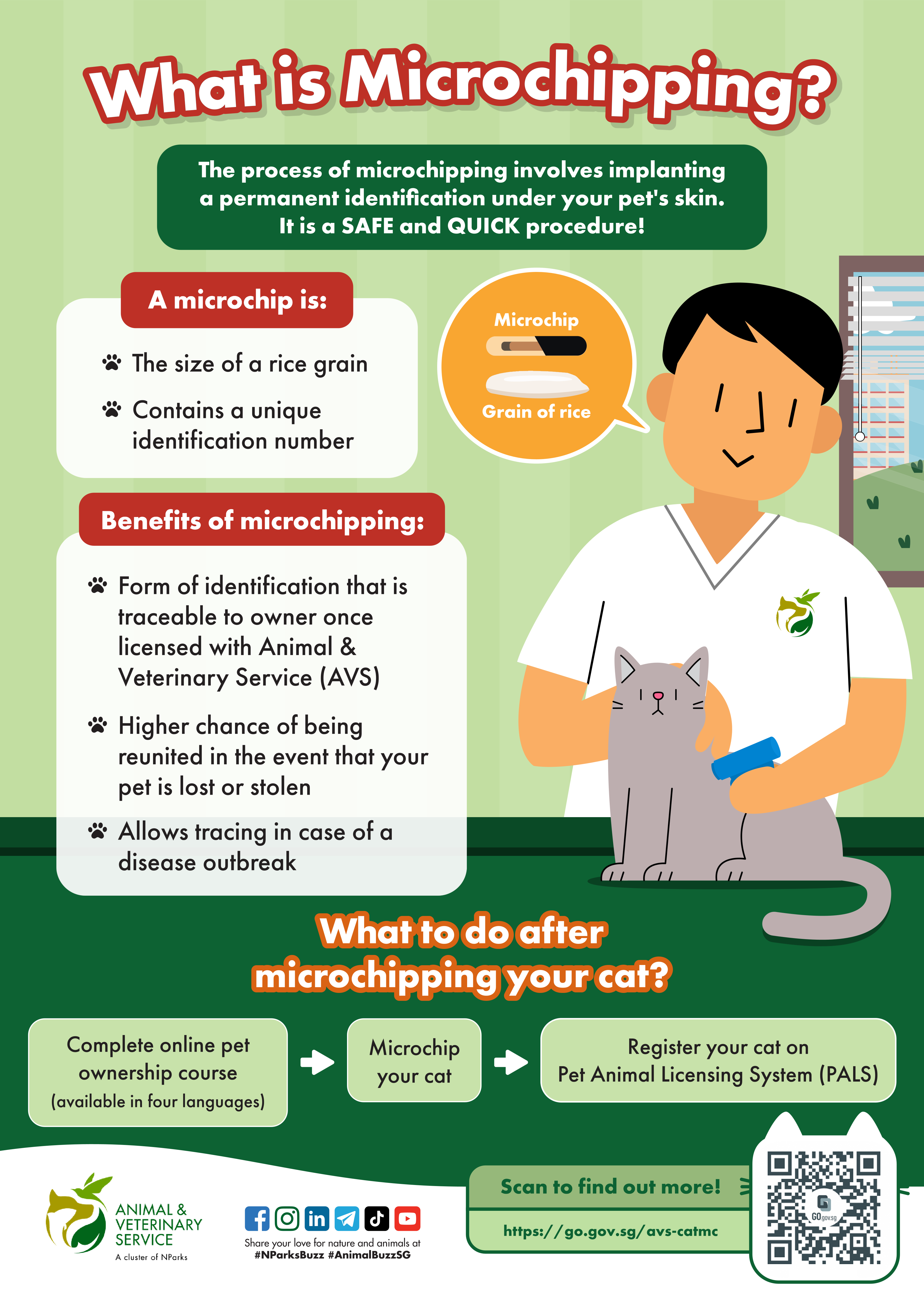An infographic on microchipping cats
